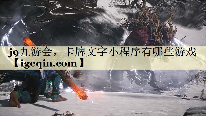 DB电竞，卡牌文字小程序有哪些游戏